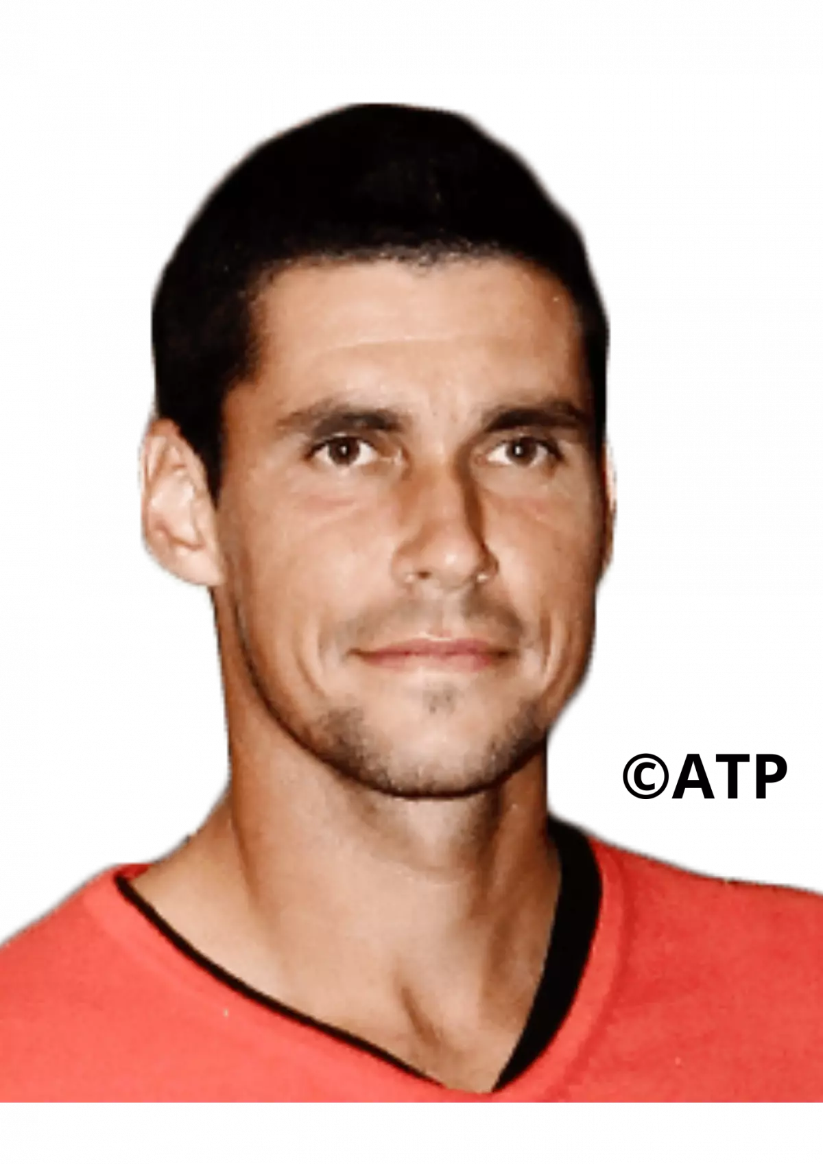 HANESCU